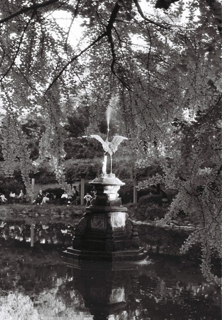 【動作品】Nikon FM10 + Zoom-NIKKOR 35~70mm