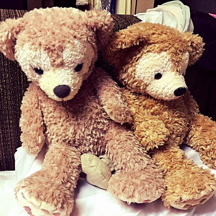 ダッフィとシェリーメイのペア