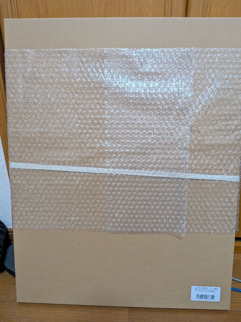 月ノ輪ガモ先生描き下ろし A3複製原画　新品未開封　メロンブックス