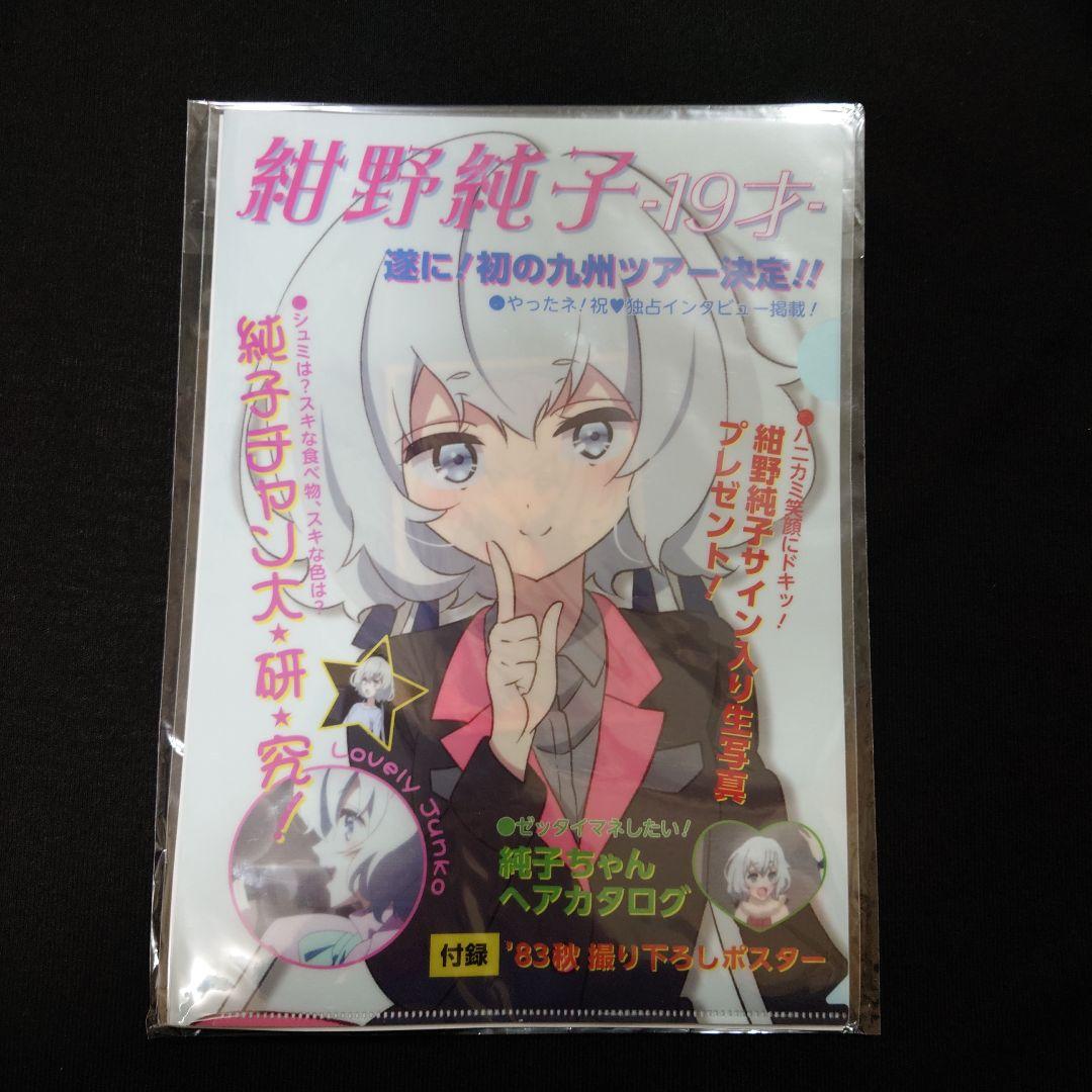 【希少】伝説の昭和のアイドル紺野純子セット【未開封】