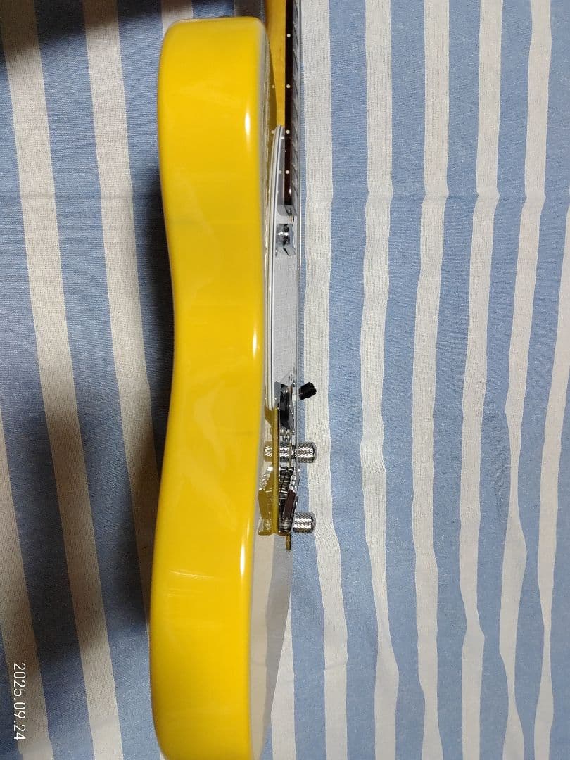 GrassRoots by ESPのテレキャスタイプG-TE-50R使用感少美品