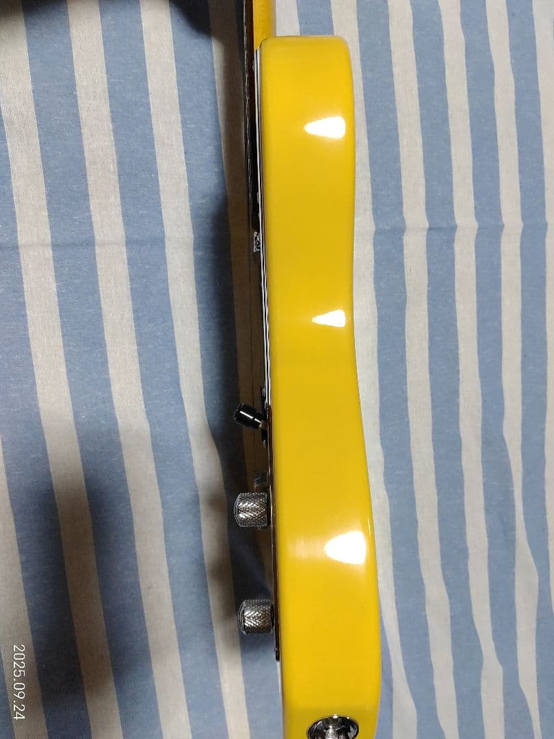 GrassRoots by ESPのテレキャスタイプG-TE-50R使用感少美品