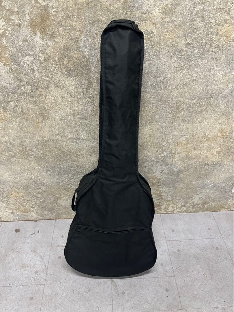 し*ん様 ⑯Legend by Aria FG-15CSアコースティックギターサ