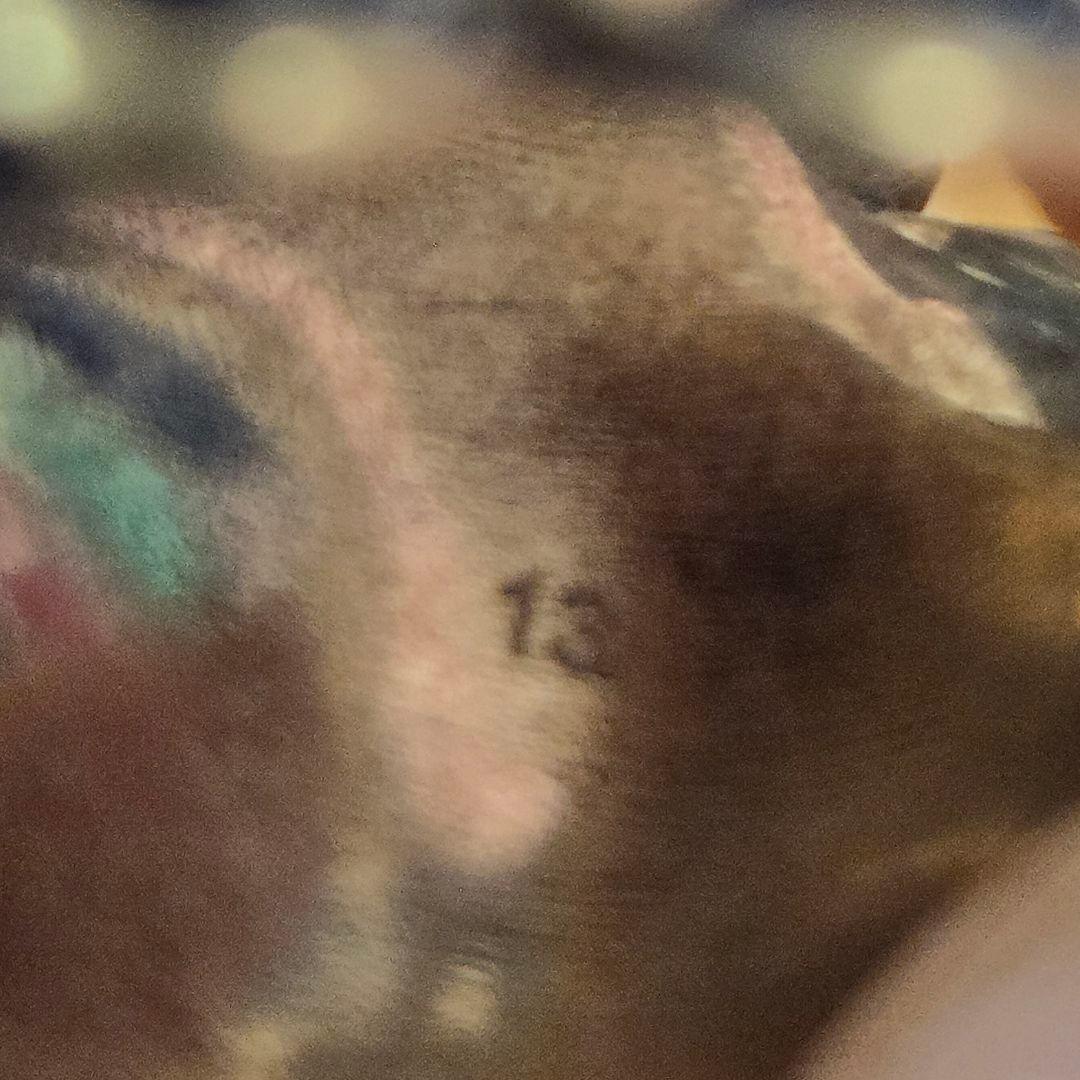 亀様 グッチ ライオンヘッド マルチカラー ラインストーン GP リング 指輪