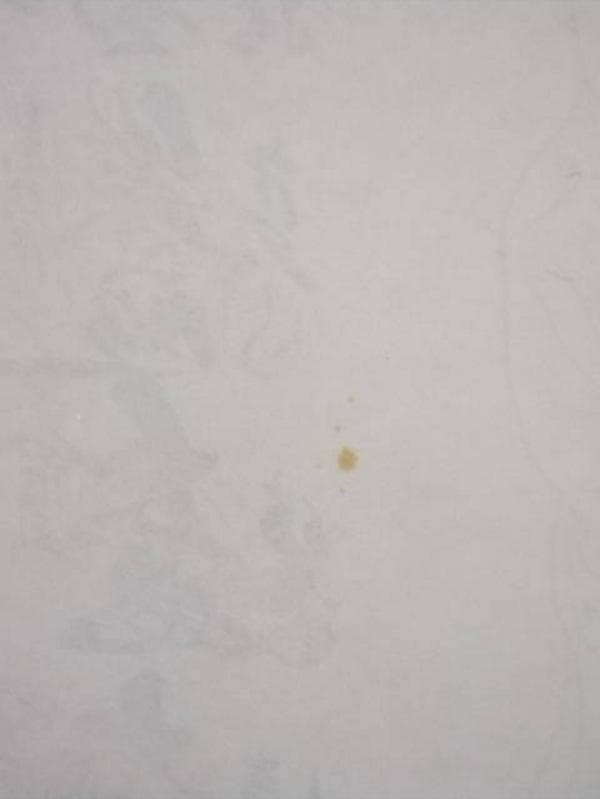 掛軸「西国三十三ヵ所霊場御朱印集印譜」白衣観音菩薩像 紙本 保護箱付 IN001