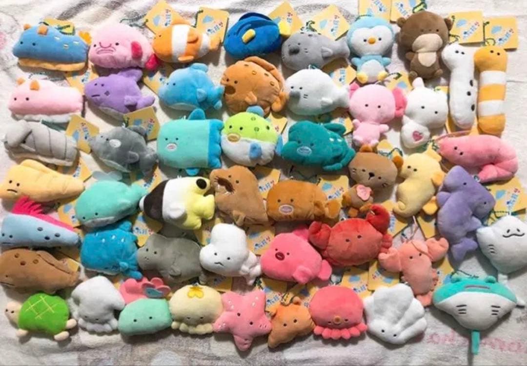 つぶらな瞳の水族館　全種類