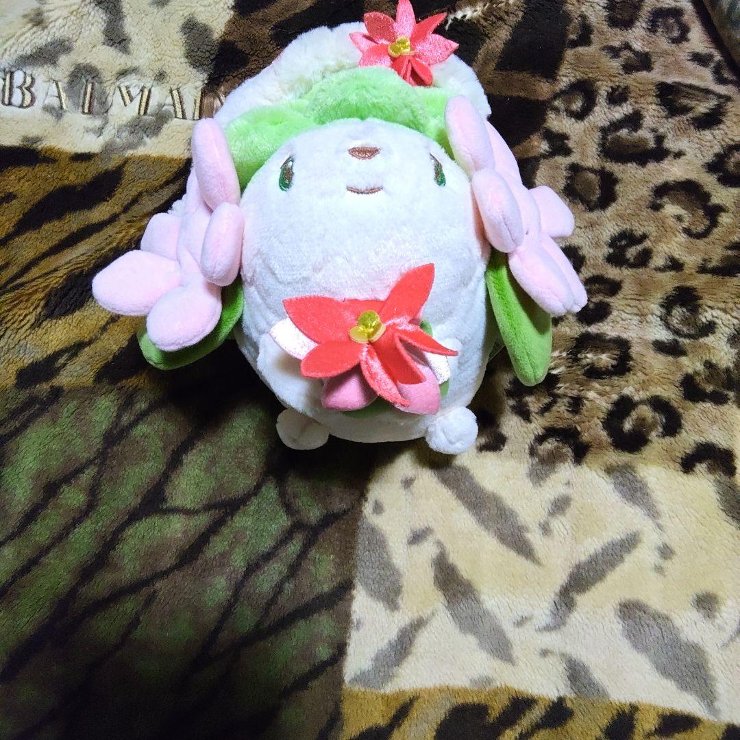 ポケモン　シェイミ　ぬいぐるみ