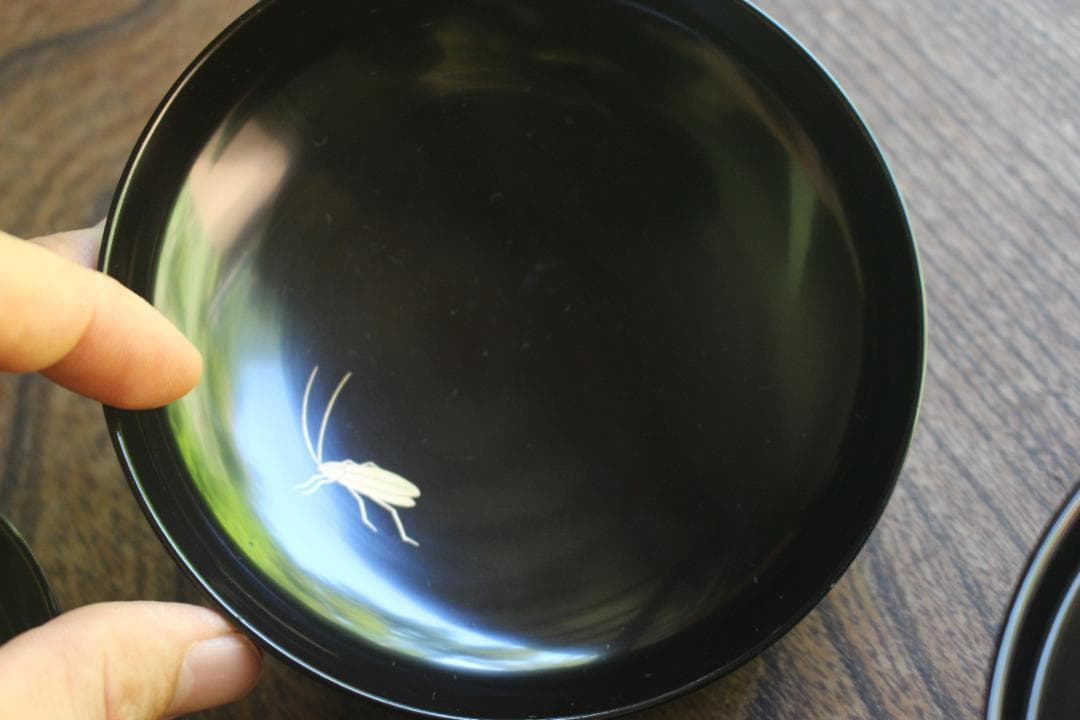 絵柄選択可！風情ある秋草闇蒔絵に見返虫蒔絵のお椀5点（検輪島塗蒔絵椀雑煮椀