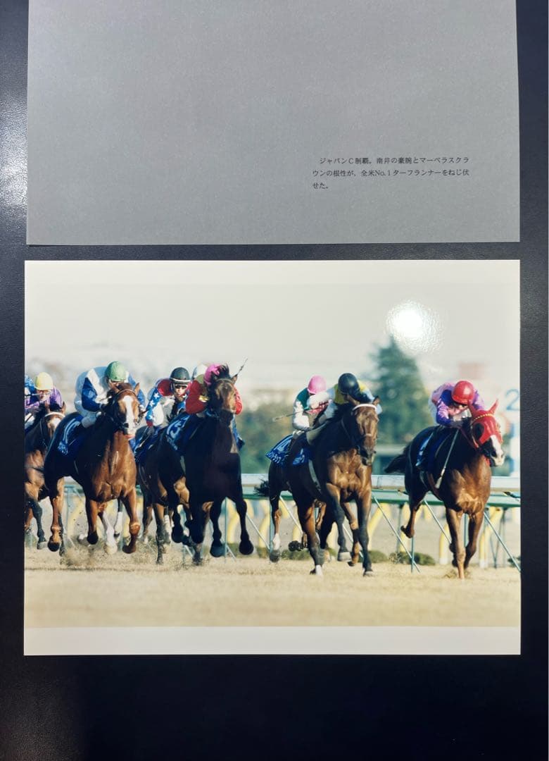 ファイター南井とお手馬4騎　報道写真集　限定保存版　希少