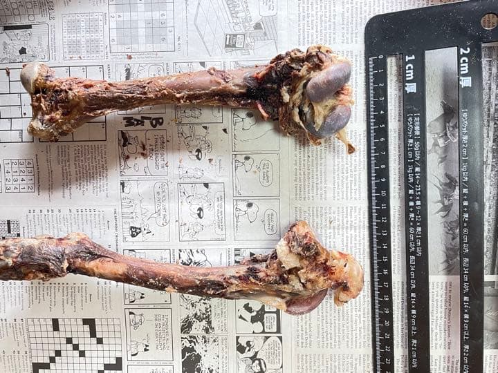 確認用　サイズの参考にしてください