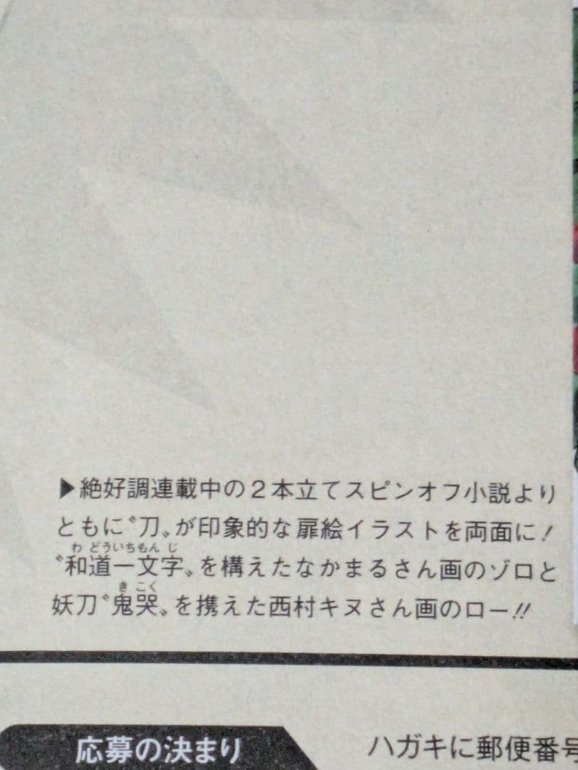 ワンピースマガジン クリアファイル 当選品