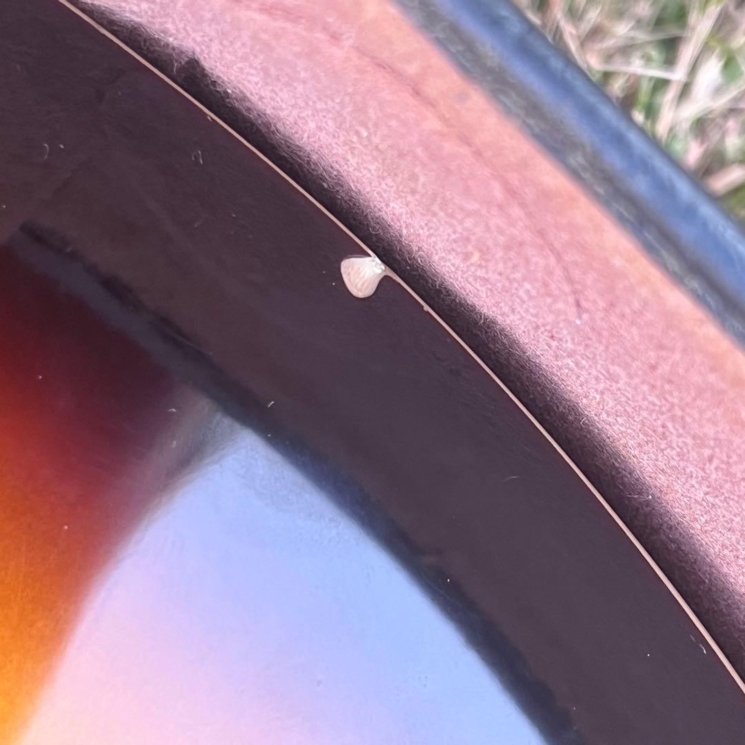 Epiphone by GIBSON ES-175⭐︎フルアコ⭐︎ハードケース