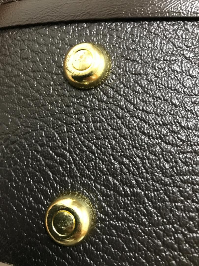 テイラー　純正ハードケース　214ceDLX　Taylor hardcase