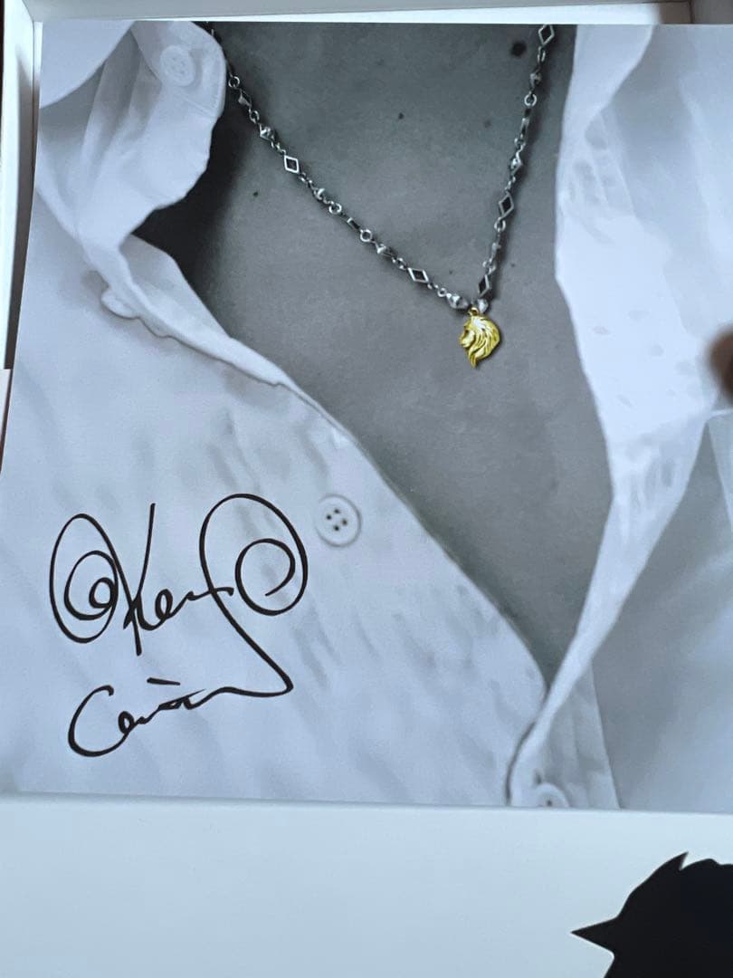 ラルク Kenソロ10th記念限定ネックレス シリアルNO.入り)