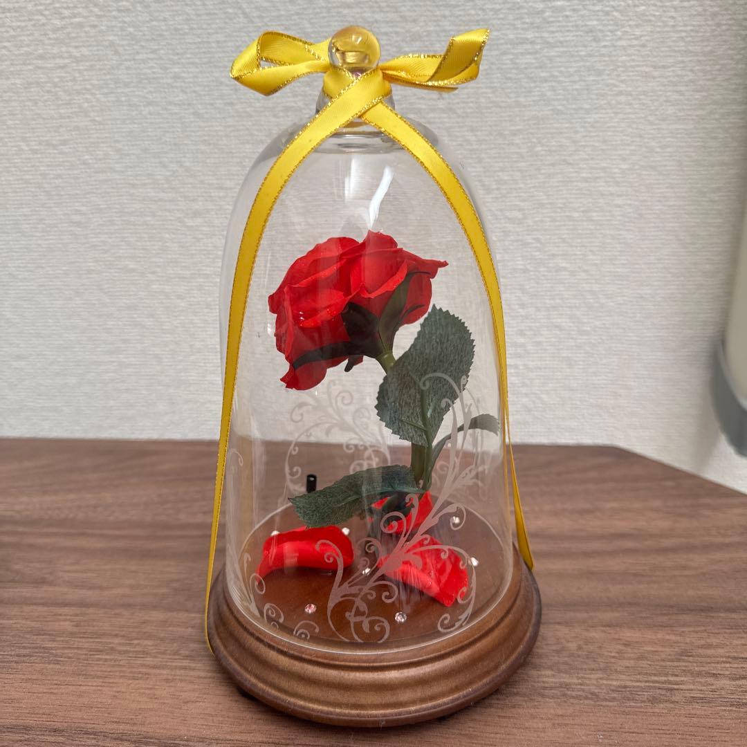 美女と野獣 まとめ買いセット