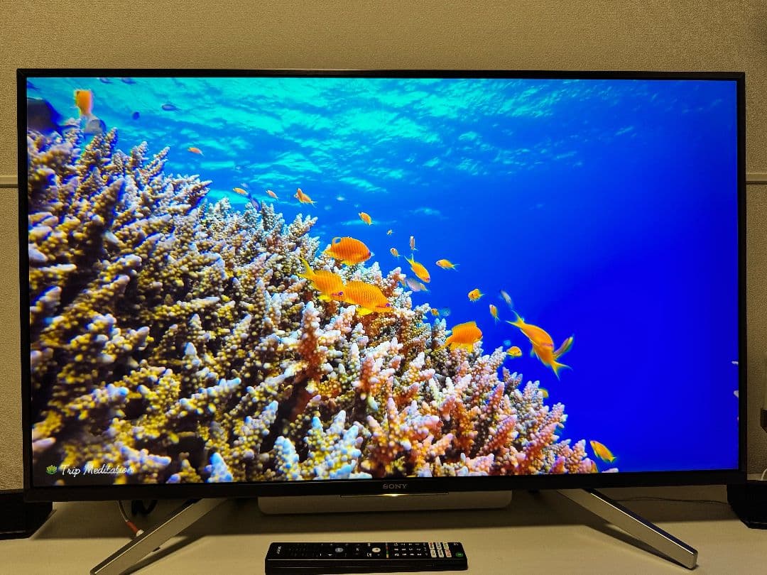 即購入不可 Sony BRAVIA 大画面液晶テレビ