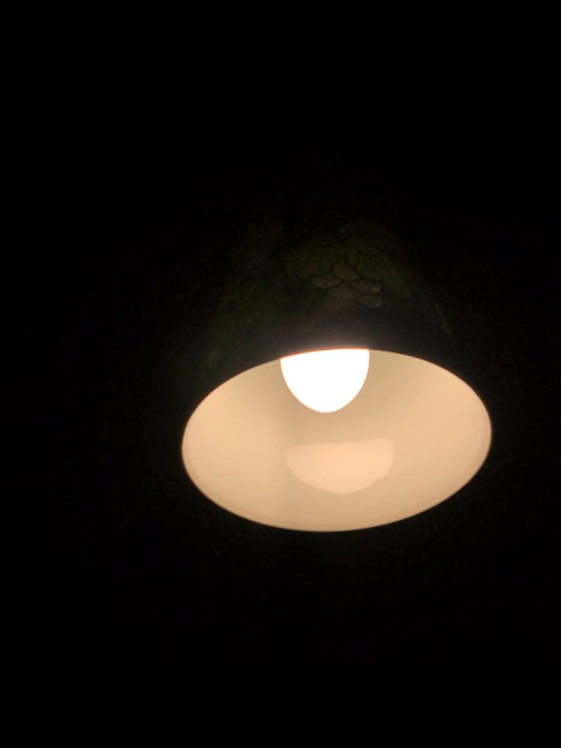 《 有田浪漫グラス × 福泉窯 》染錦ぶどう ペンダントライト LED電球付き