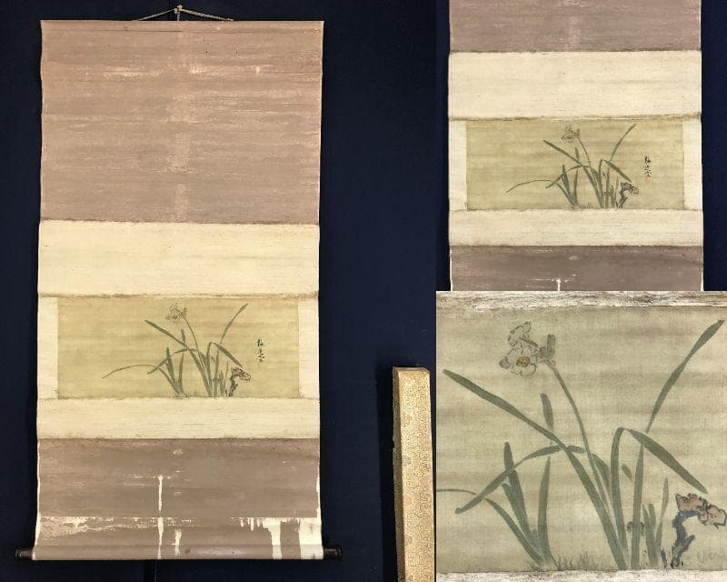 模写/山本梅逸/水仙図/スイセン図/横物/掛軸☆宝船☆AH-780