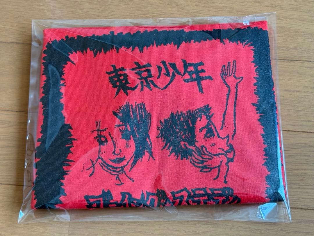 年末年始価格⭐︎激レアGOING STEADY 東京少年T ⭐︎銀杏BOYZ峯田和伸