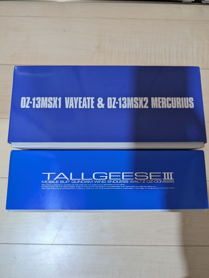 RGトールギスIII & HGACヴァイエイト、メリクリウスセット