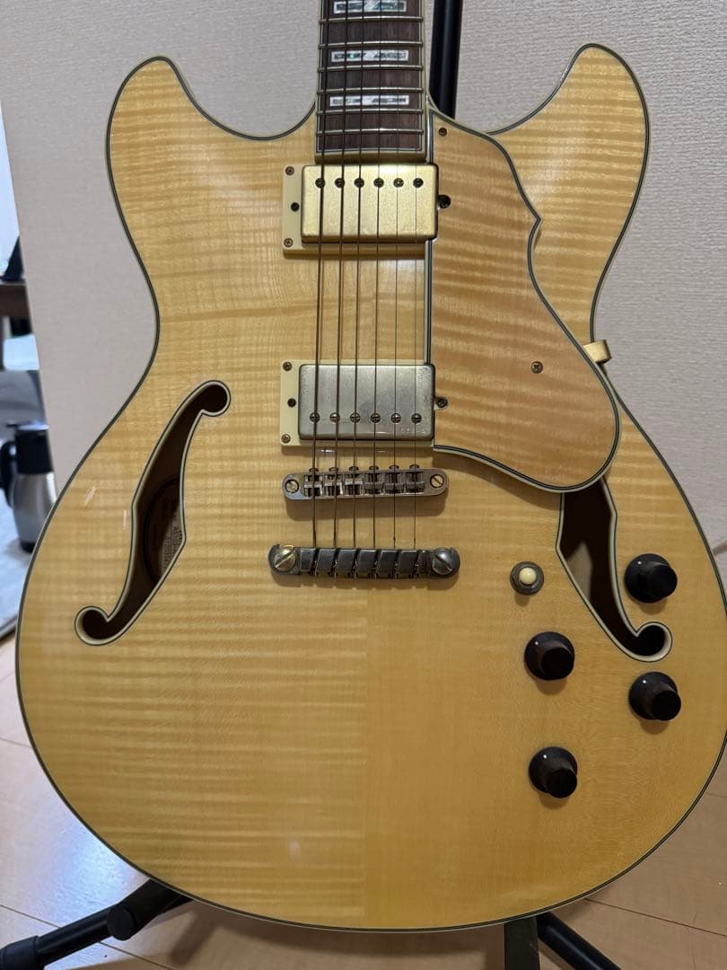 アイバニーズ製セミアコ