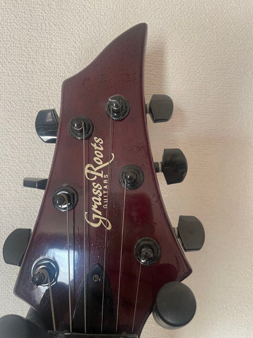 ギター　グラスルーツ　フォレスト　GRASS ROOTS