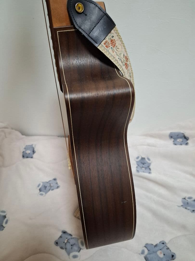 （専用）アコースティックギター　ROSSO R-5 IS18982909