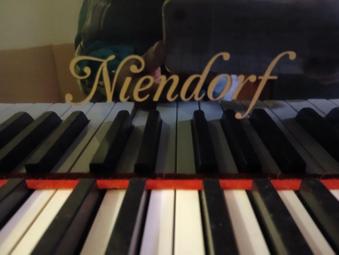 Niendorf 182グランドピアノ 88鍵 黒