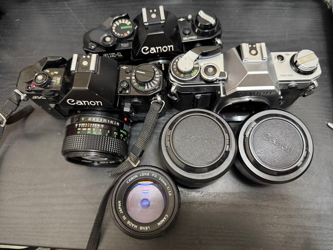 untamed_com Canon レンズ 本体