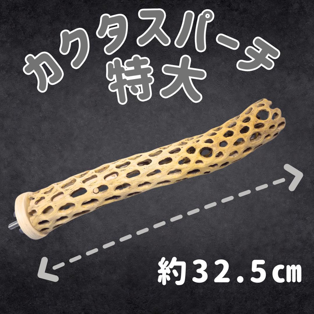 鳥用品　止まり木　カクタス　スケルトン　パーチ　特大No.216