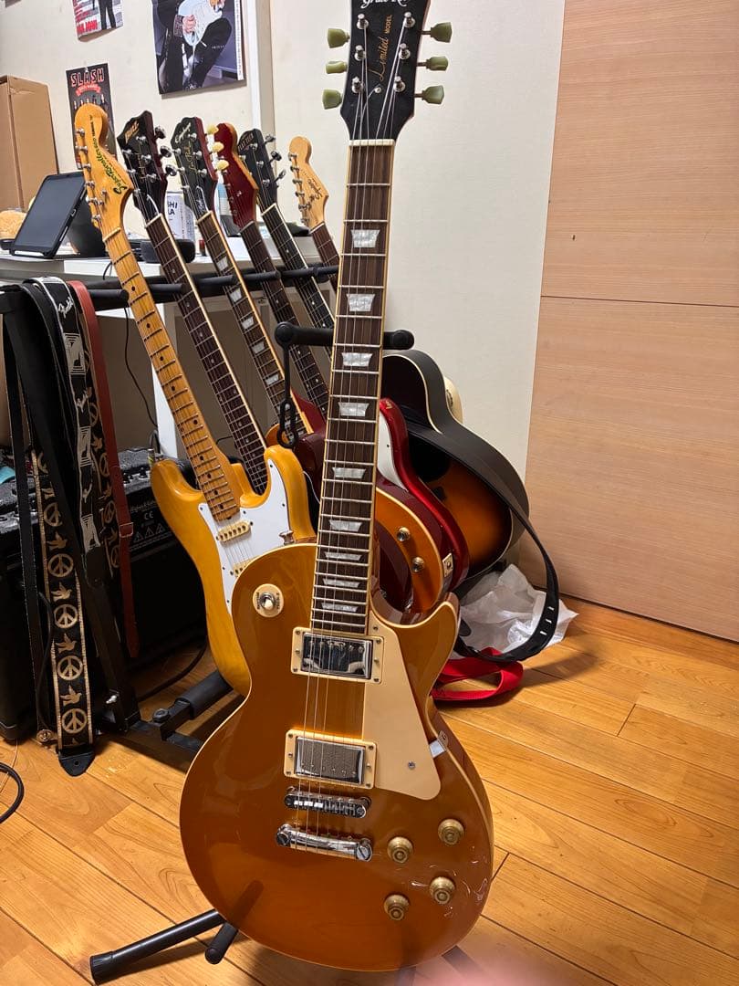 Grass Roots レスポールタイプ　ゴールドトップ