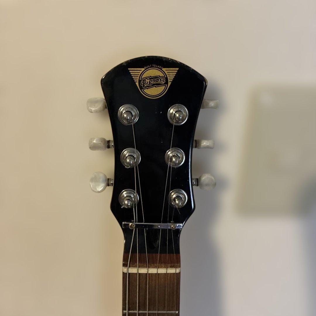 ピグノーズPGG100 サンバースト