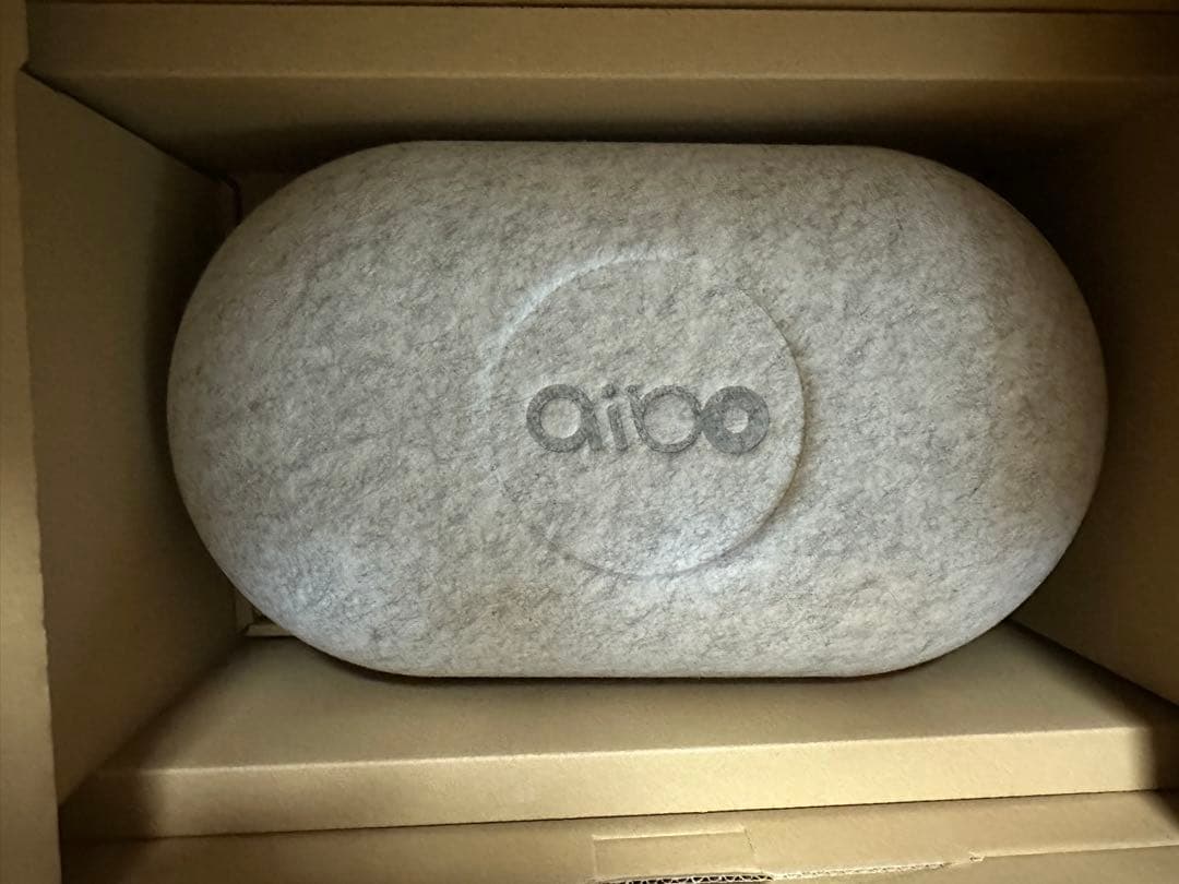 SONY AIBO☆アイボリーホワイト☆動作確認済