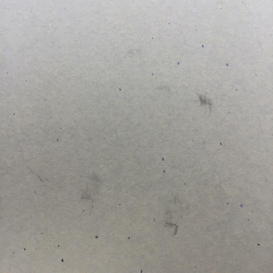 色紙　臨済宗相国寺　記念　松國大龍　畳紙　配送用袋　S1030SSD