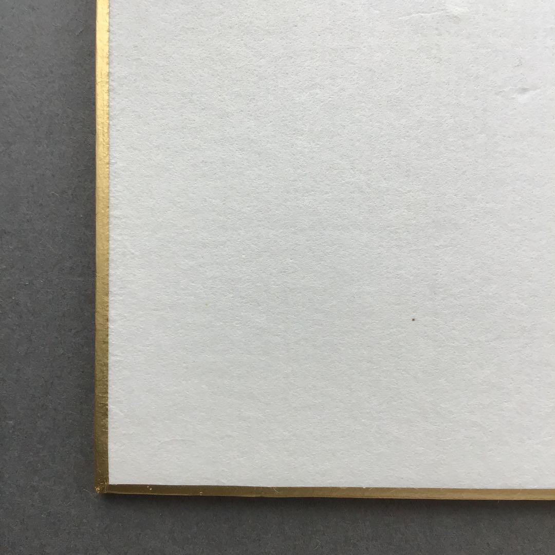 色紙　臨済宗相国寺　記念　松國大龍　畳紙　配送用袋　S1030SSD