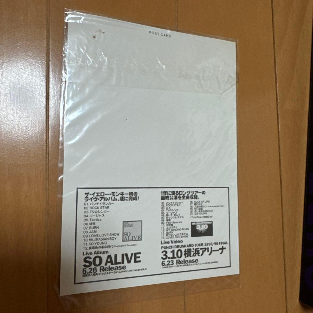 THE YELLOW MONKEY 会報　ツアーパンフ　写真集　まとめ売り