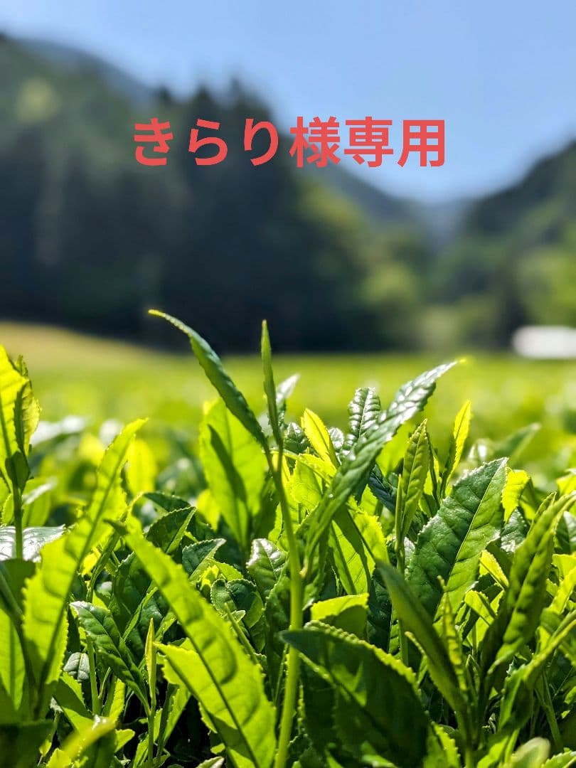 お茶おまとめセット