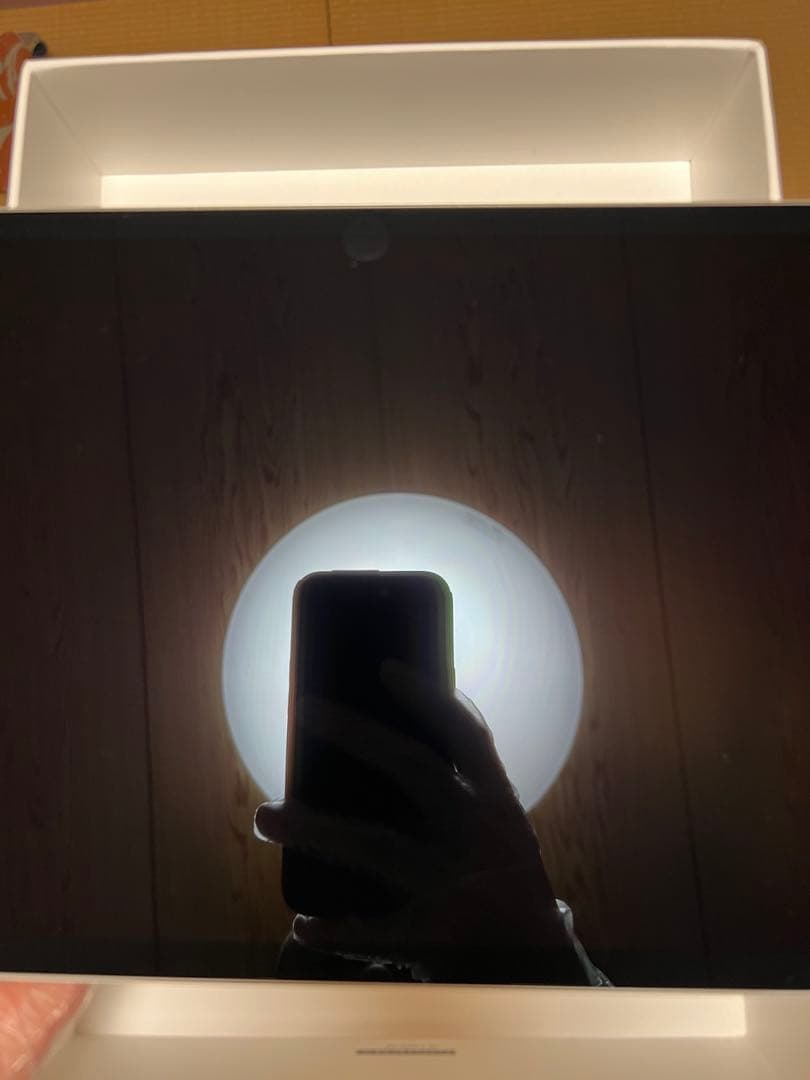 iPad Pro 11インチ 第1 512GB SIMフリー AppleCare