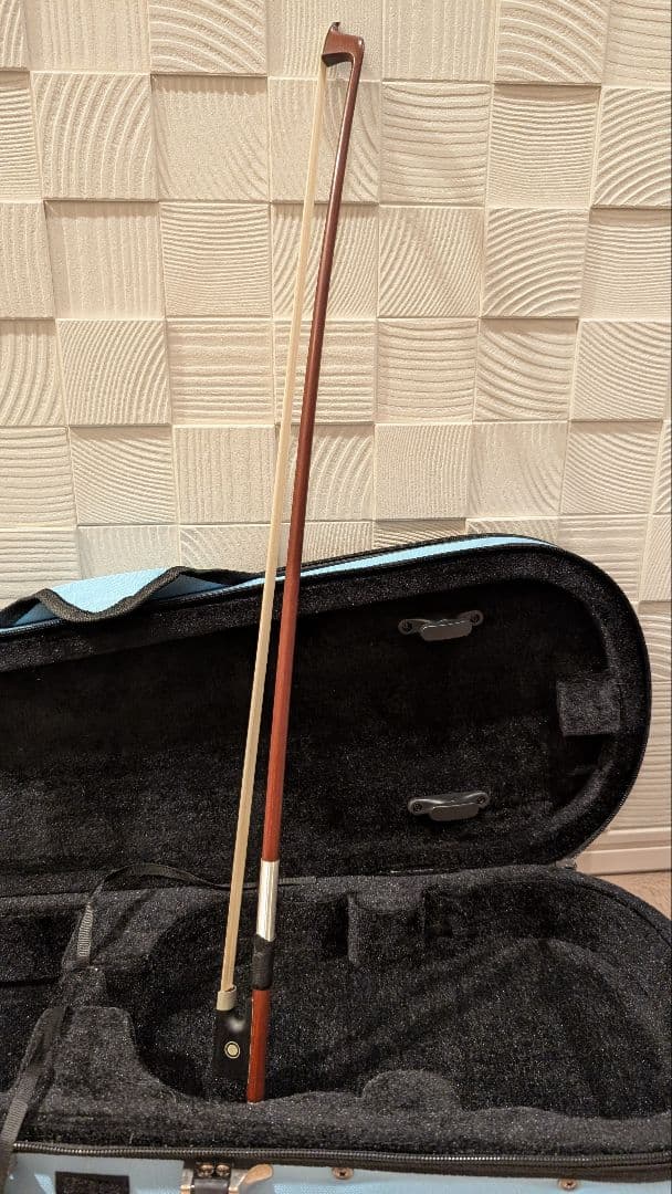 ヴァイオリン CARLO GIORDANO VS-1 1/4 バイオリンセット