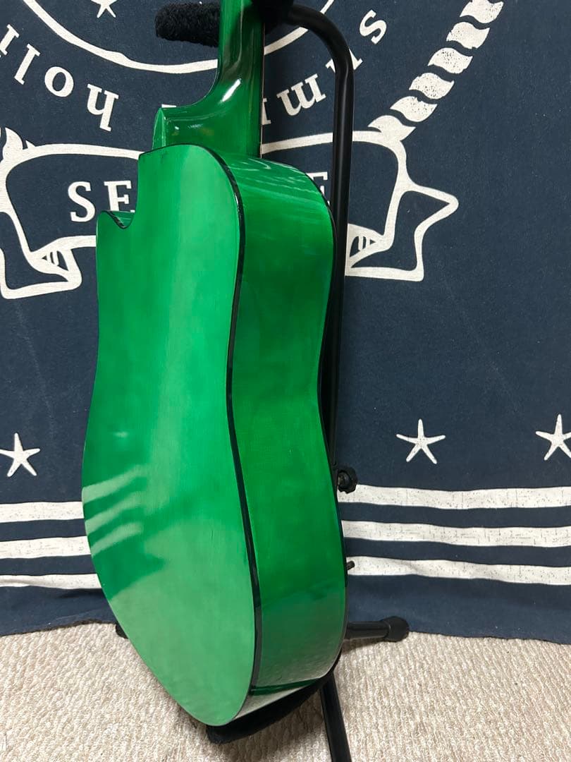 今月末迄　特価‼️新品未使用グリーン　タイガーグラフィック　アコースティックギター