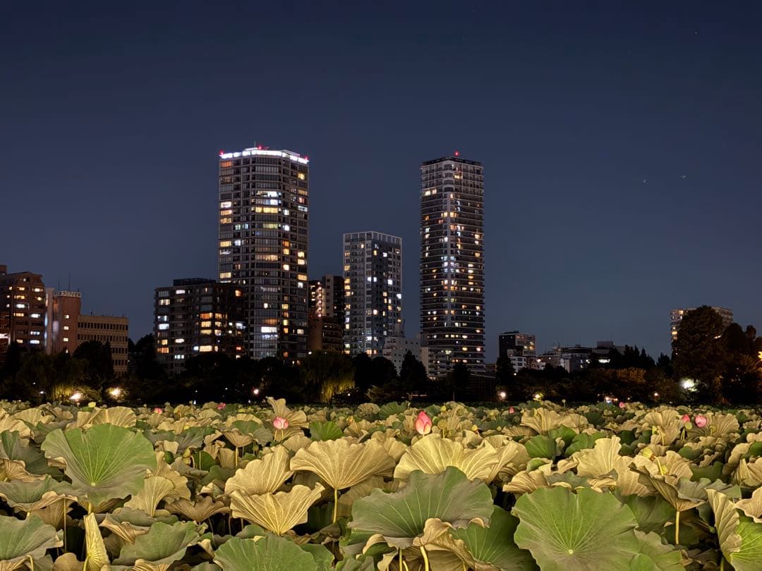 2023年製 東芝 40型液晶テレビ REGZA 40V34【直接引取り】