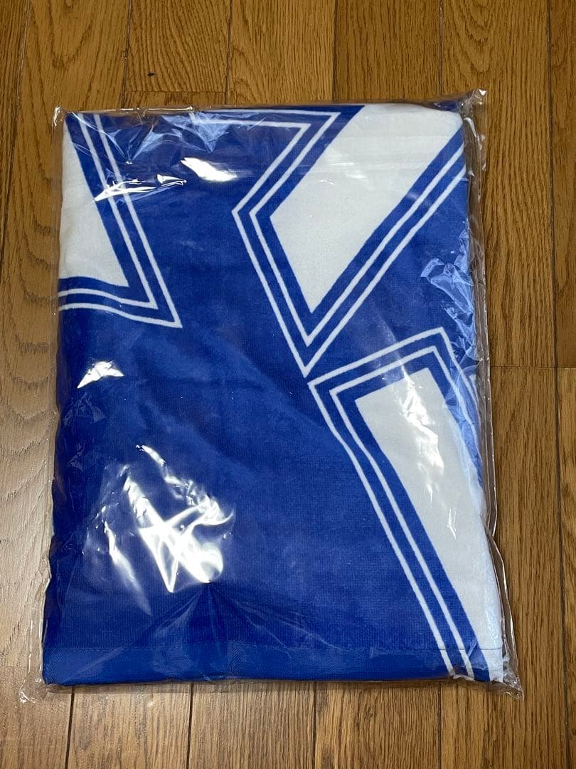 矢沢永吉　ソロデビュー50周年　　東京ドーム　Do It！ PSS席　記念グッズ