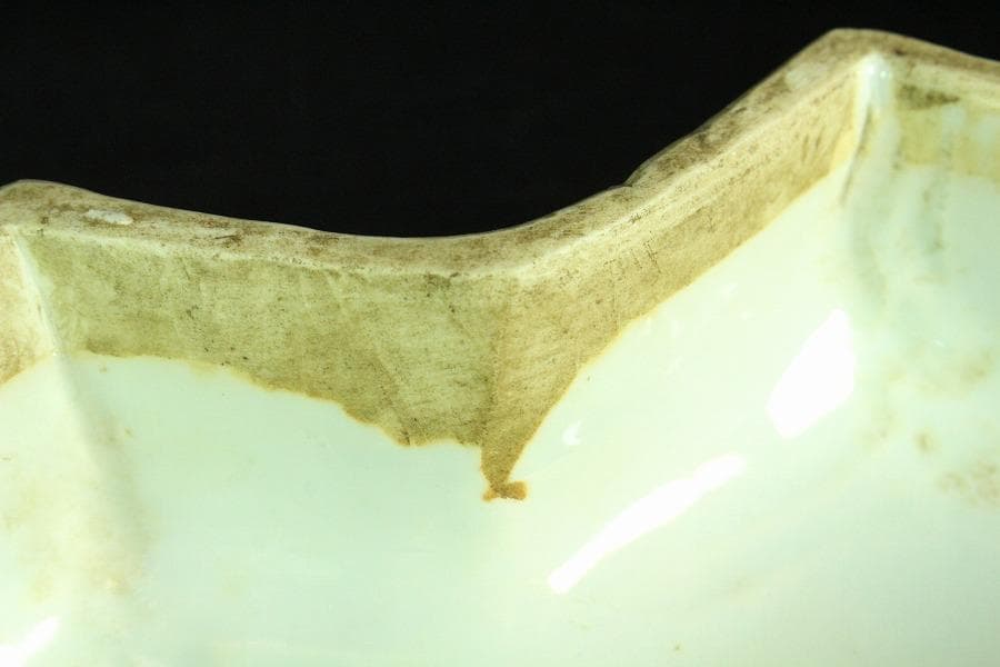 中国美術 赤絵雲龍紋 蓮菱 蓋物 大明嘉靖年製 書(K-A718)