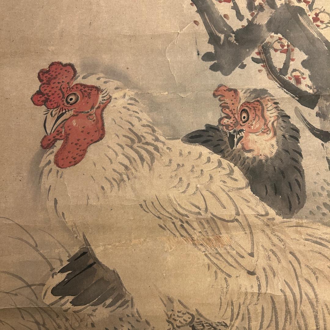 金子金陵 鶏図 掛軸 模写 Q-446