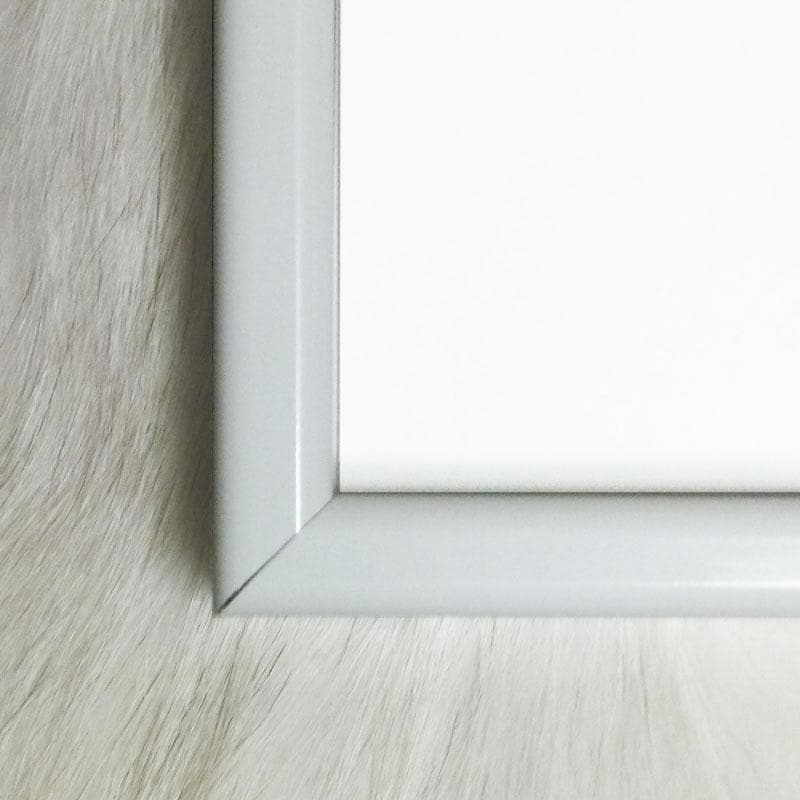 Sunday B/ゴールデンマリリン/限定2000枚/証明書/ウォーホル/額装済