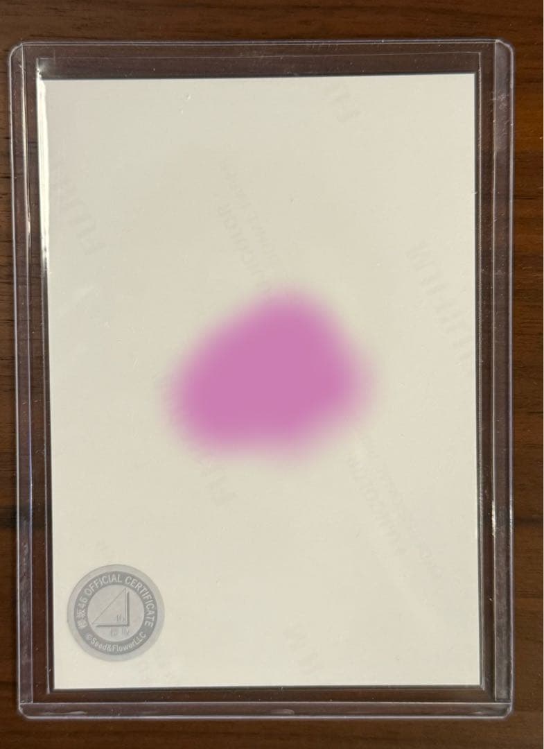 櫻坂46 向井純葉 2024 浴衣 生写真 直筆