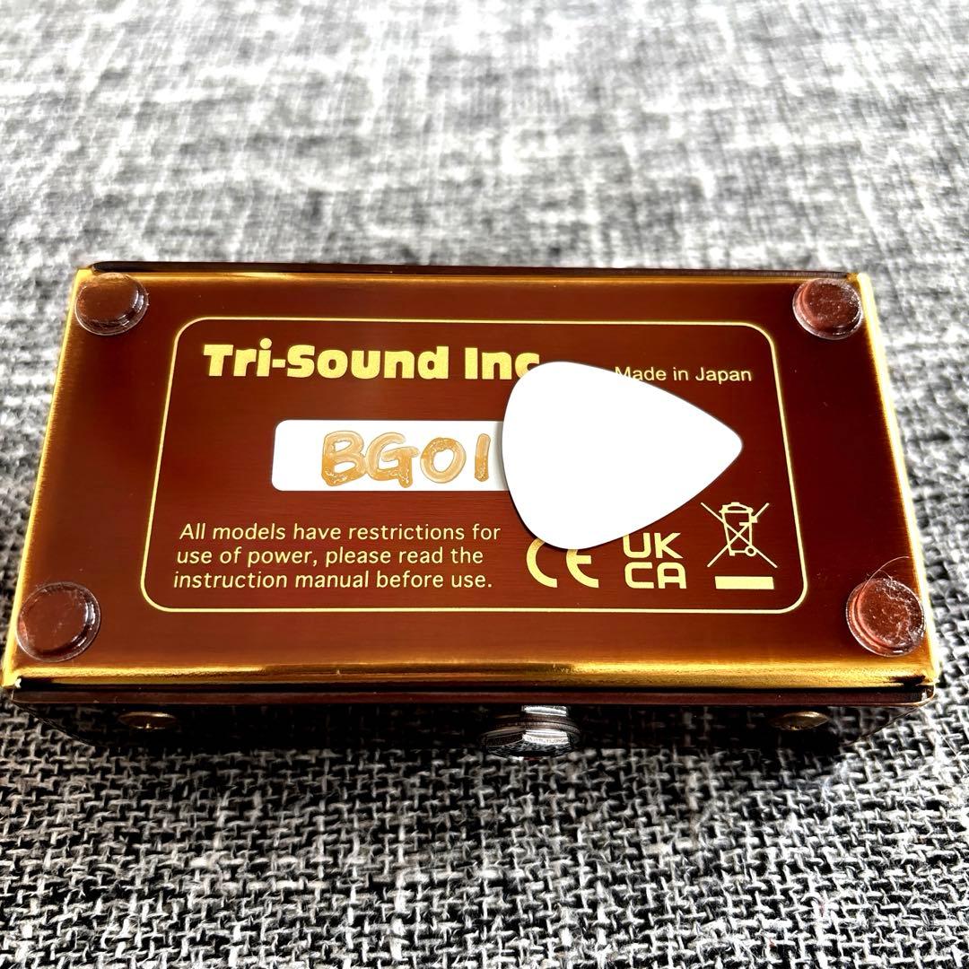 ギター VEMURAM Budi-G