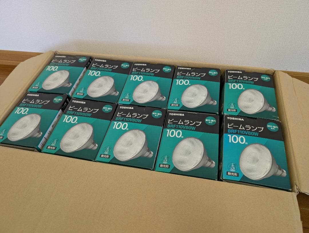 東芝 屋外用 ビームランプ 散光形 100W形 BRF110V80W　10コ