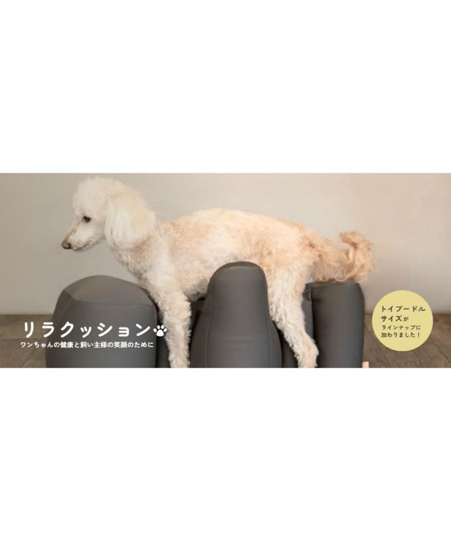 oneaid ワンエイド　リラクッション　トイプードルサイズ　チャコールグレー