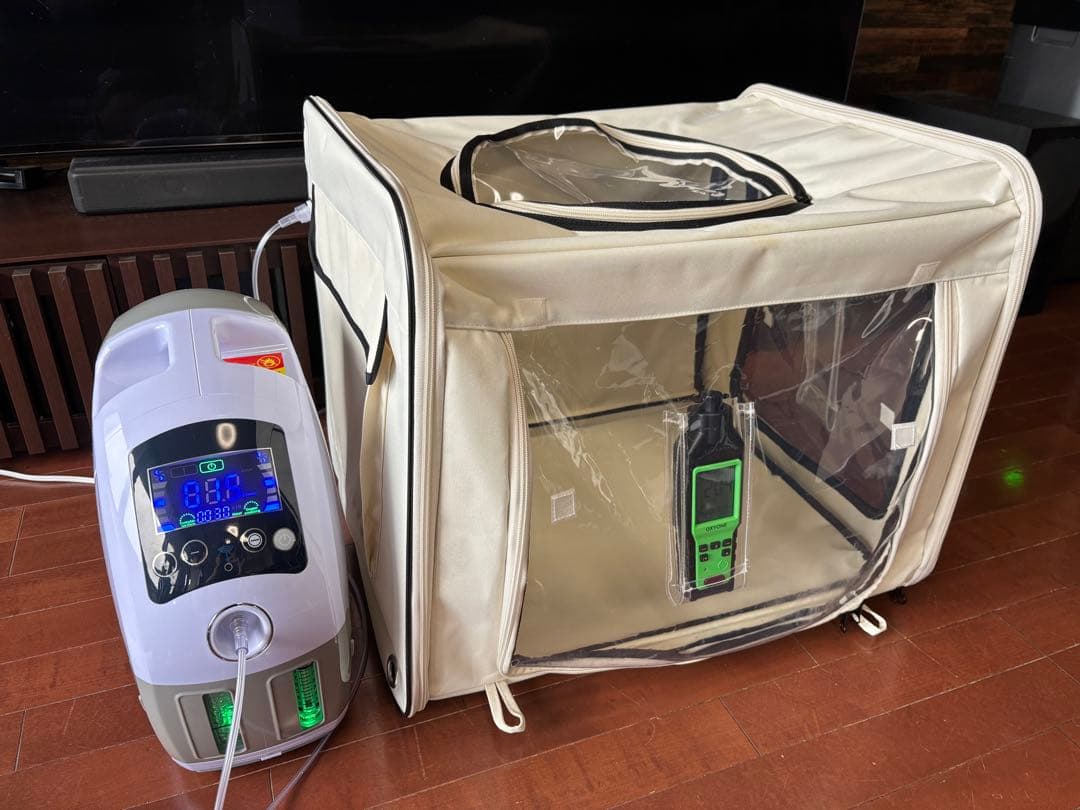 kenan⭐︎プロフ必読⭐︎